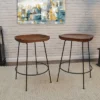 Set Of 2 24.5" Bryson Counter Height Barstools - Carolina Chair & Table