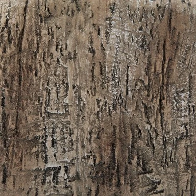 Weldon Whale Side Table Driftwood - Powell Company 5 Weldon Whale Side Table Driftwood - Powell Company - Image 5