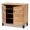 Coolidge Wood 2 Door Storage Cabinet Oak Brown - Baxton Studio