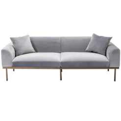 Modern Velvet Loveseat Sofa With Metal Legs And Two Pillows-ModernLuxe 17 Modern Velvet Loveseat Sofa With Metal Legs And Two Pillows-ModernLuxe -Baxton Studio Sale Shop GUEST a0c26083 dfb0 4b01 8d08 97e0614cc543